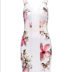 ted baker irasela dress
